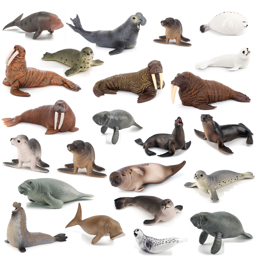 Kids Education Picture - Realistic Dugong Manatee Walrus Sea Lion
