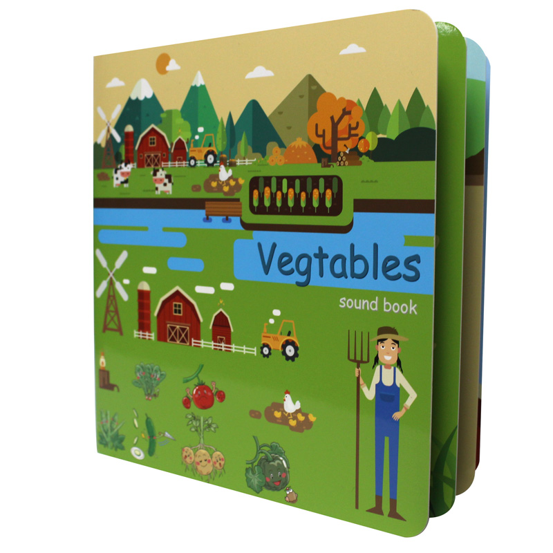 Kids Education Drawing - Custom Board Books for Babies English
