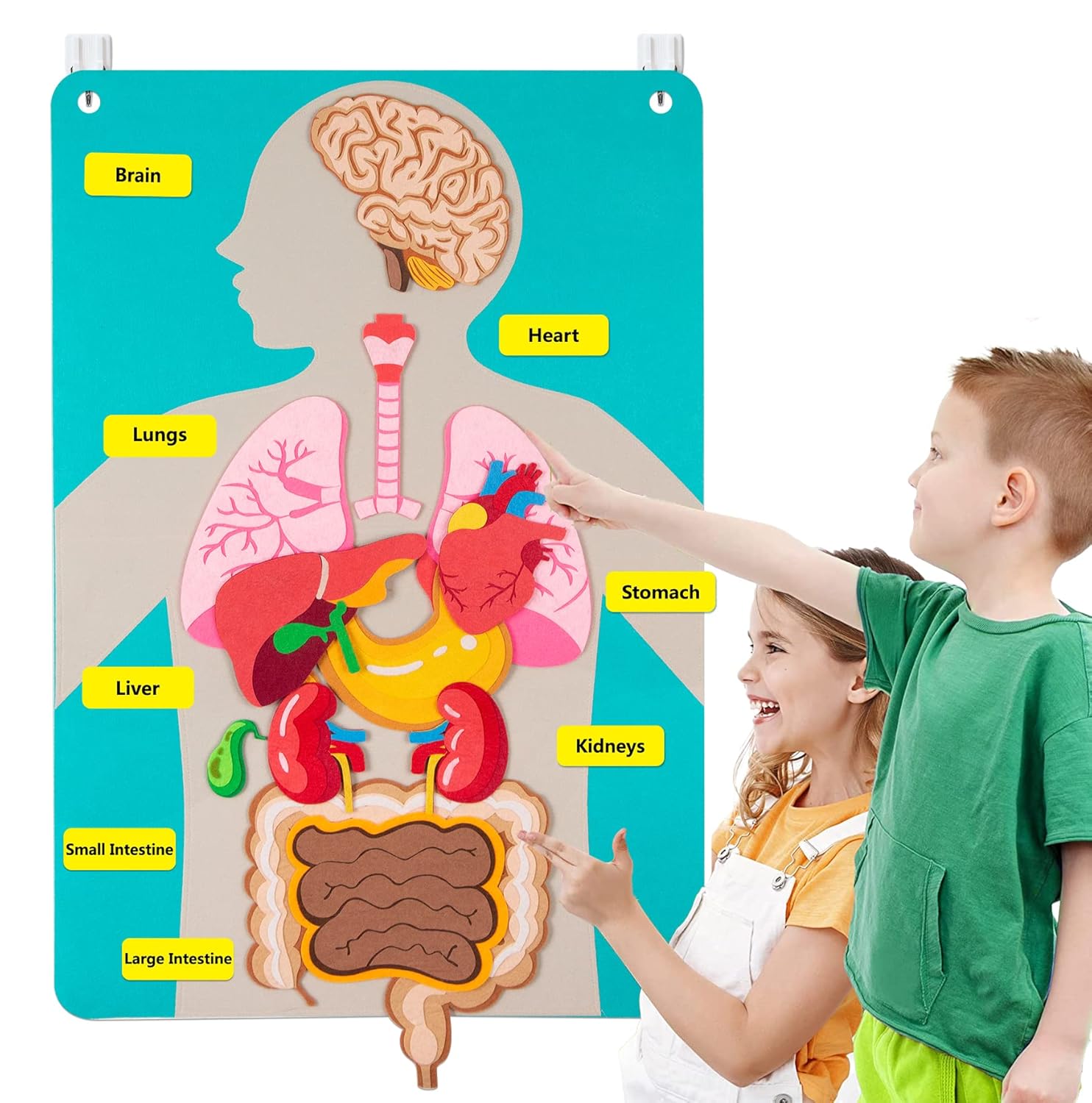 Human Body Puzzle - Human Body Parts Felt Board Stories