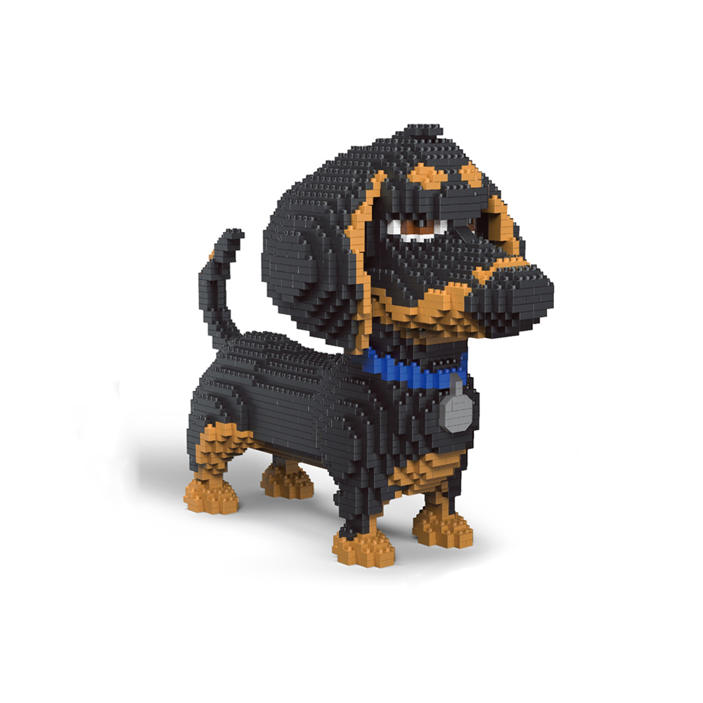 Kids Education Recreation - Celebrate Your Love for Dog with