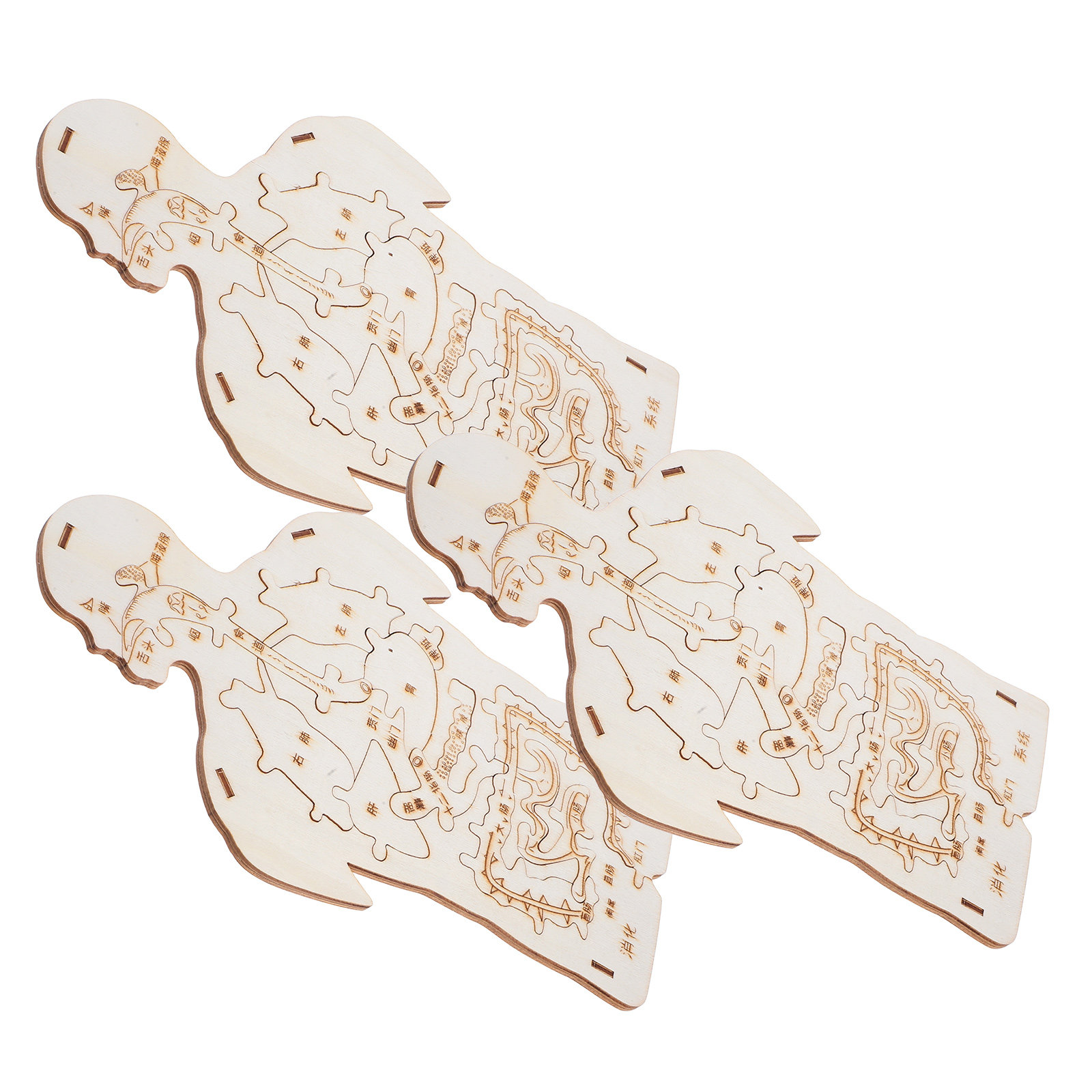 3Pcs Wooden Human Body Puzzle  - Human Body Puzzle ulasan dan harga