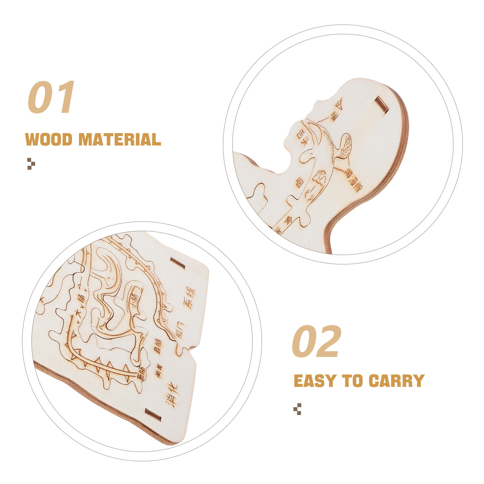 3Pcs Wooden Human Body Puzzle  - Human Body Puzzle ulasan dan harga