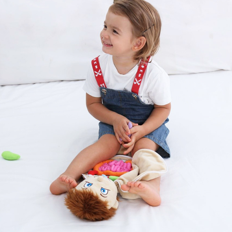 Human Viscera Cognitive Kid 3D - Human Body Puzzle ulasan dan harga