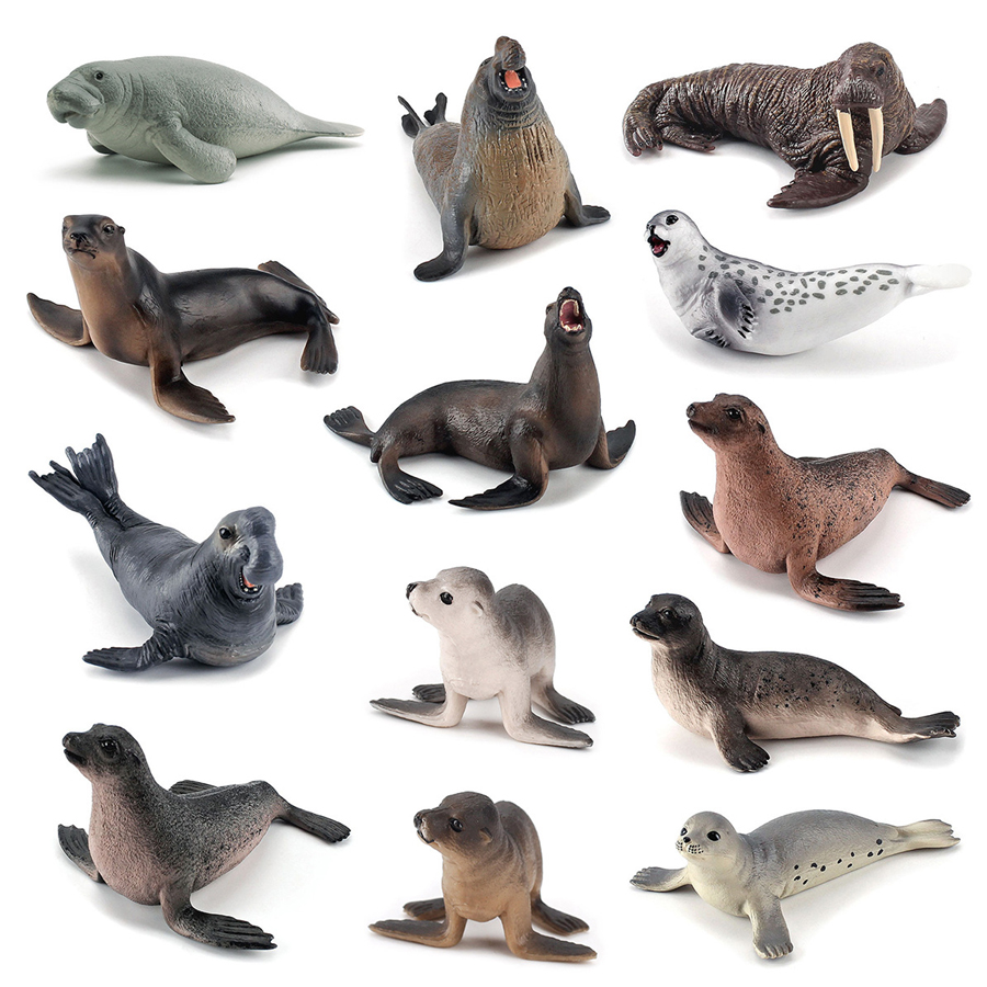 Realistic Dugong Manatee Walru - Kids Education Picture ulasan dan harga
