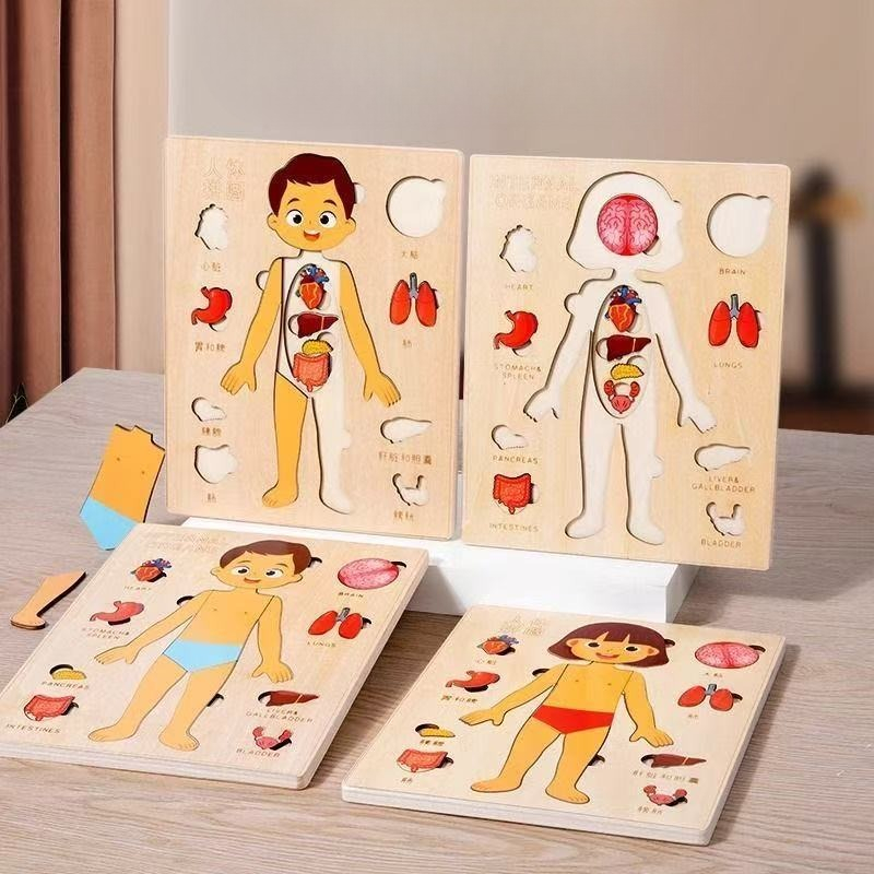 Montessori Puzzles Busy Board  - Human Body Puzzle ulasan dan harga