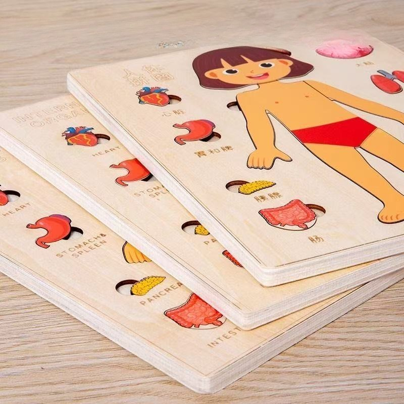 Montessori Puzzles Busy Board  - Human Body Puzzle ulasan dan harga