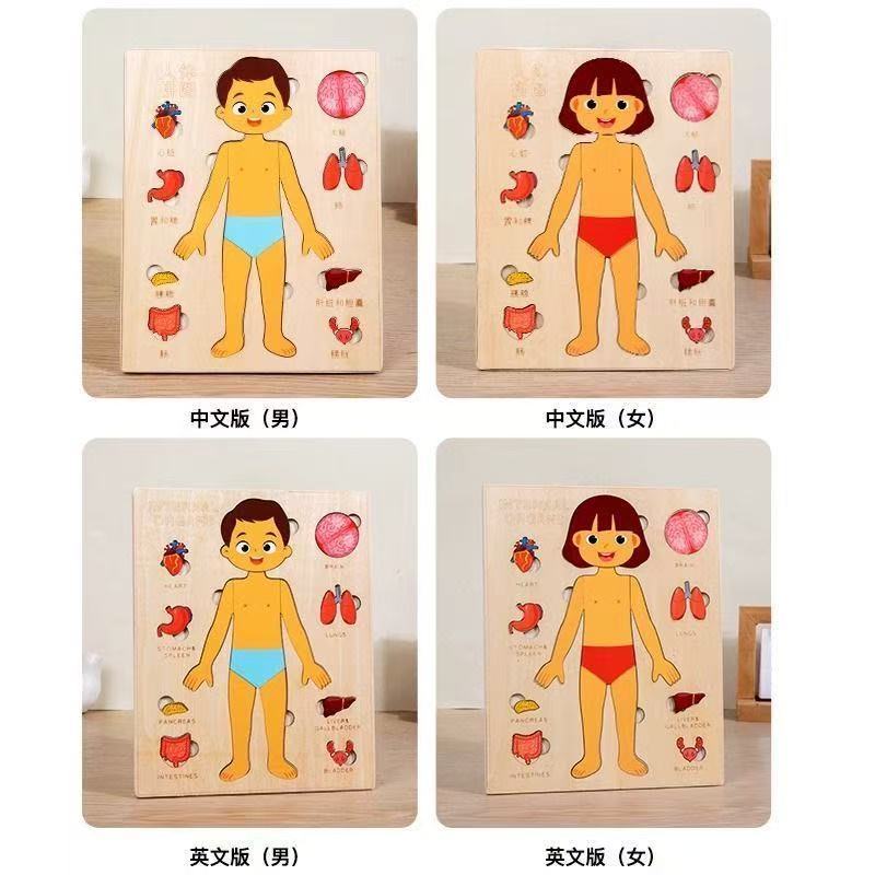 Montessori Puzzles Busy Board  - Human Body Puzzle ulasan dan harga