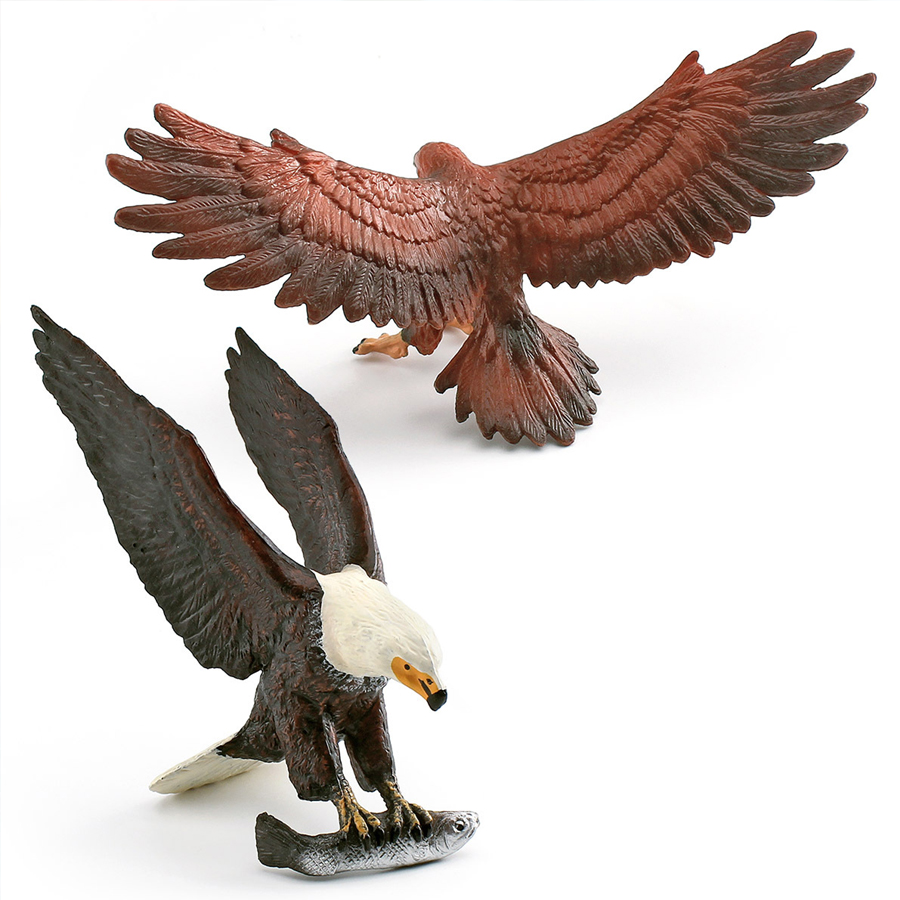 Realistic Wildlife Animal Bird - Kids Education Picture ulasan dan harga