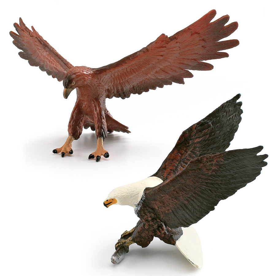 Realistic Wildlife Animal Bird - Kids Education Picture ulasan dan harga