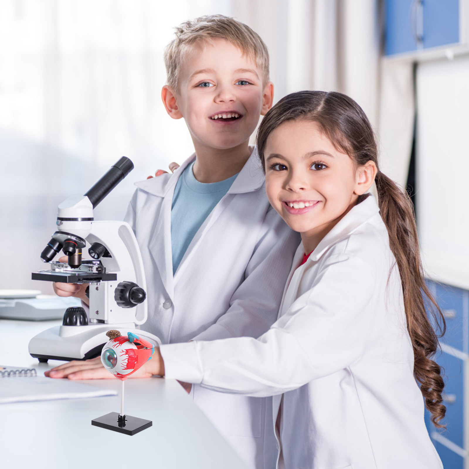 Realistic Eye Anatomy Educatio - Human Body Puzzle ulasan dan harga