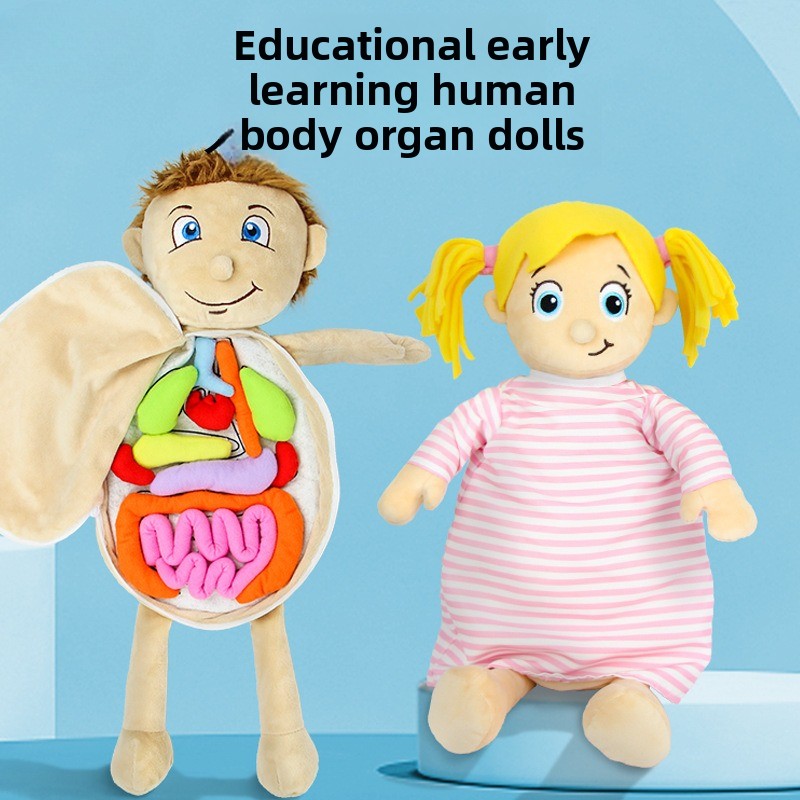 1Pc Human Organ Cognition Puzz - Human Body Puzzle ulasan dan harga