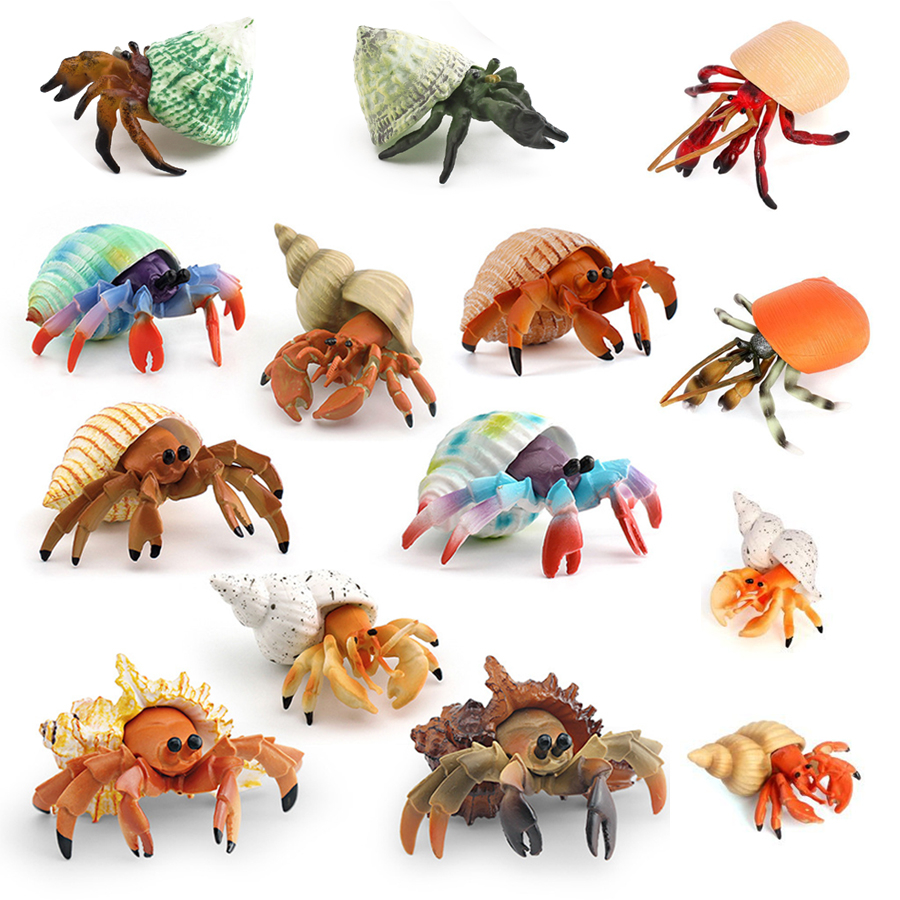 Realistic Hermit Crab Figurine - Kids Education Picture ulasan dan harga