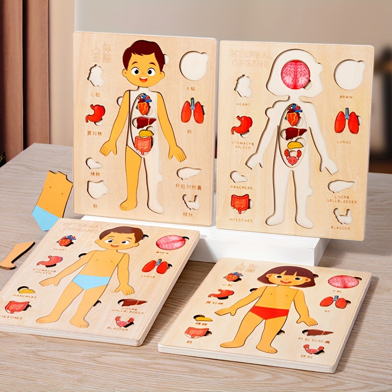 Human Body Puzzles for Kids Wo - Human Body Puzzle ulasan dan harga