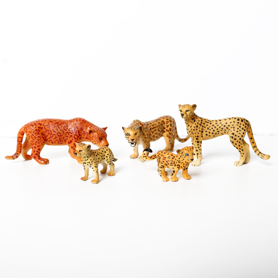 Genuine Wild Animal Kingdom Wh - Kingdom Kids Education ulasan dan harga
