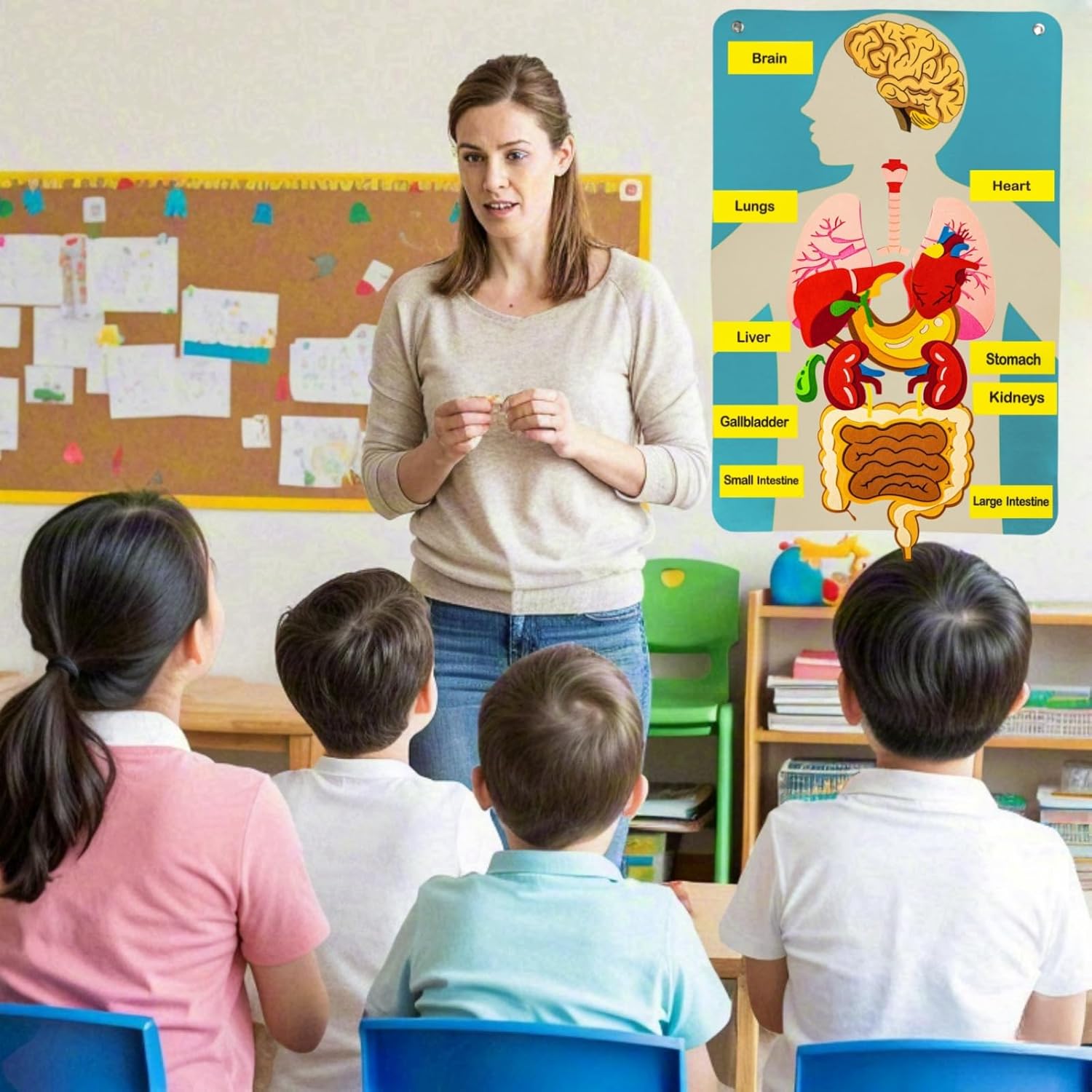 Human Body Parts Felt Board St - Human Body Puzzle ulasan dan harga