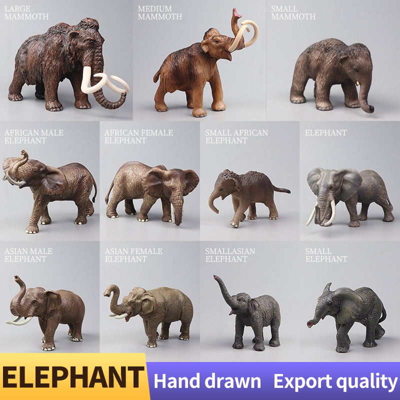 African Wild Animals Big Mammo - Kids Education Picture ulasan dan harga