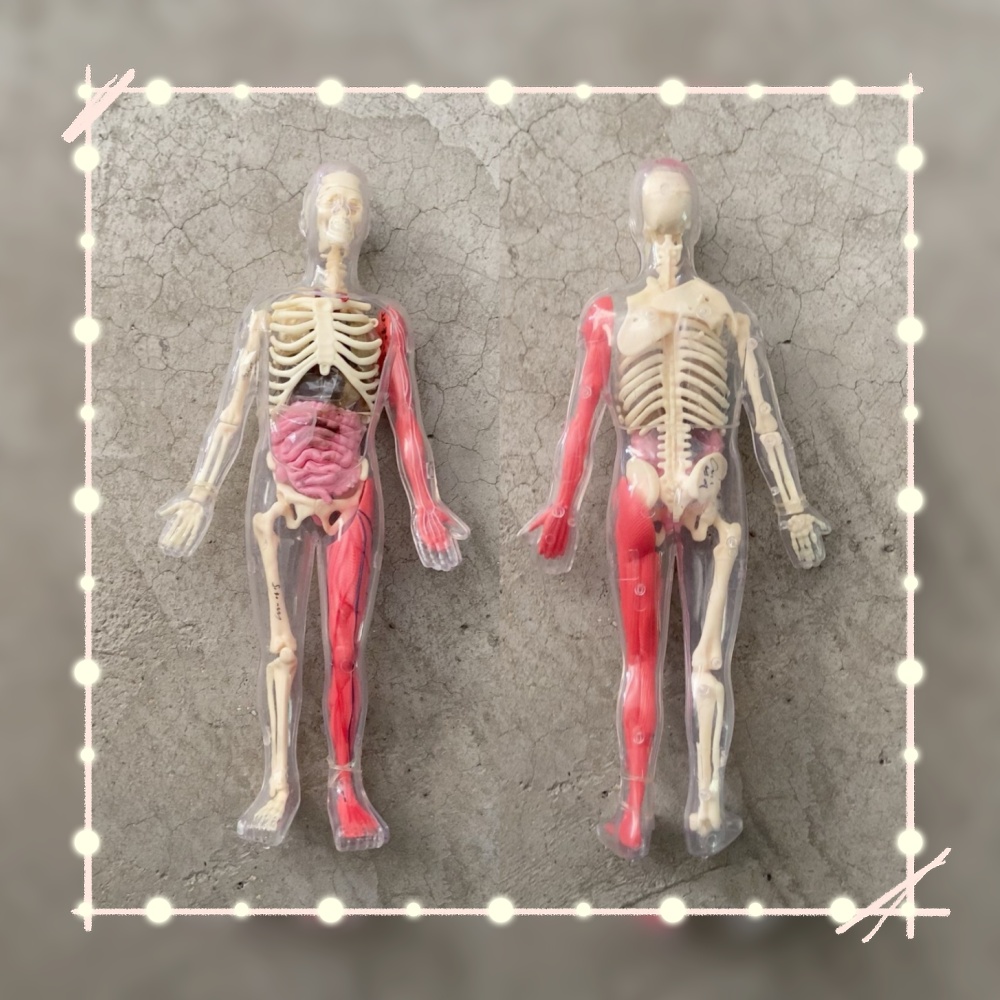 In Stock Default Defect Origin - Human Body Puzzle ulasan dan harga