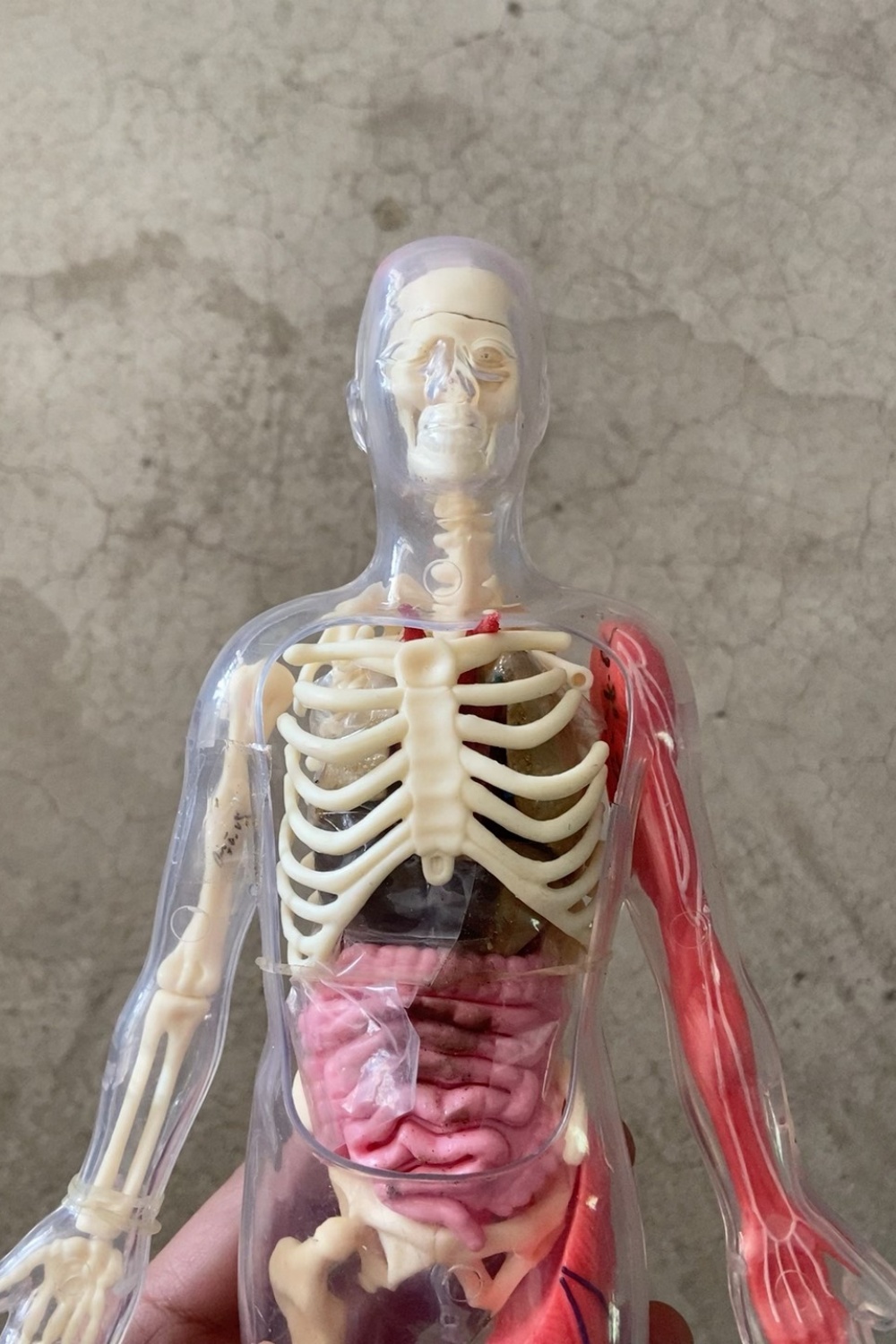 In Stock Default Defect Origin - Human Body Puzzle ulasan dan harga