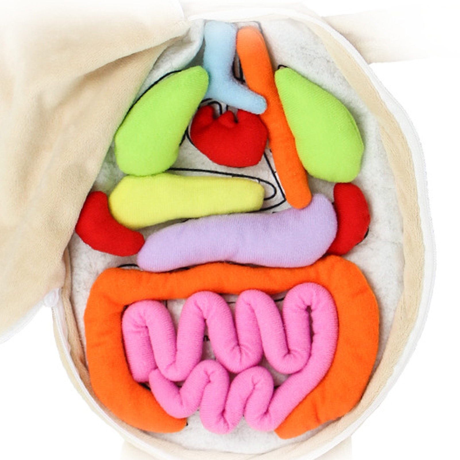 Kid Montessori Toys 3D Puzzle  - Human Body Puzzle ulasan dan harga