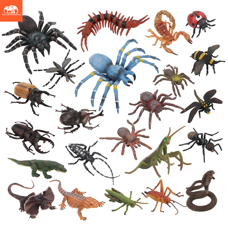 Educational Simulation Insect  - Kids Education Picture ulasan dan harga