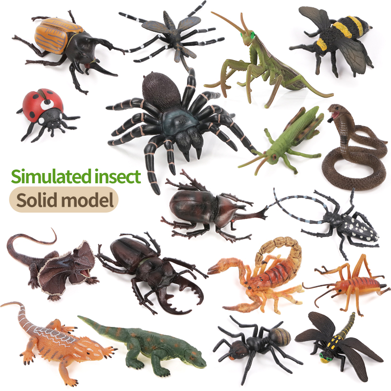 Educational Simulation Insect  - Kids Education Picture ulasan dan harga