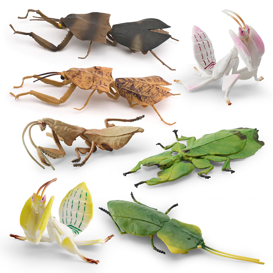Realistic Orchid Mantis Dead L - Kids Education Picture ulasan dan harga