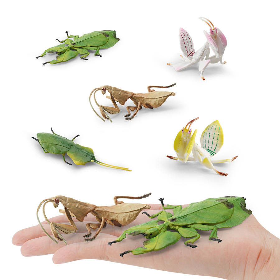 Realistic Orchid Mantis Dead L - Kids Education Picture ulasan dan harga