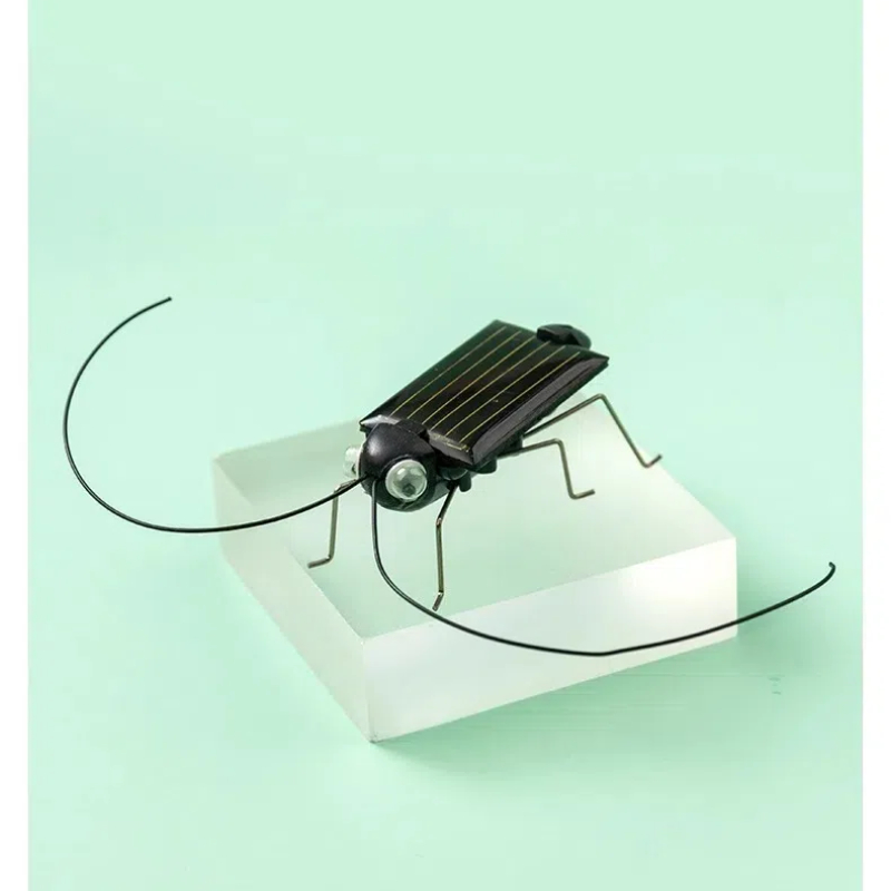 Solar Powered Locust Grasshopp - Kingdom Kids Education ulasan dan harga