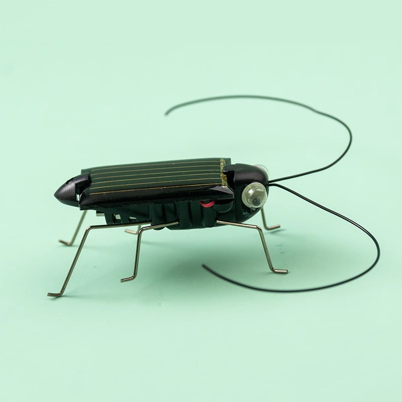 Solar Powered Locust Grasshopp - Kingdom Kids Education ulasan dan harga